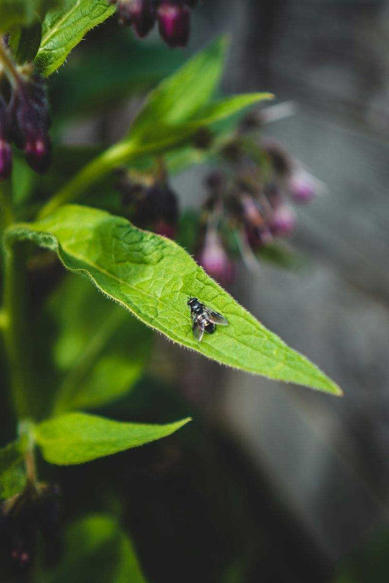 グリーンハーモニー株式会社 - Image 13